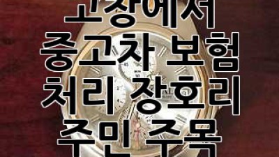 고창에서 중고차 보험 처리, 장호리 주민 주목! 🚗💨