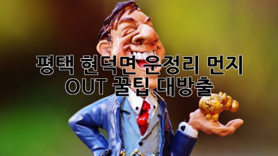 💨 평택 현덕면 운정리 먼지 OUT! 꿀팁 대방출 ✨