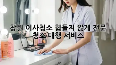 창원 이사청소, 힘들지 않게! 전문 청소 대행 서비스